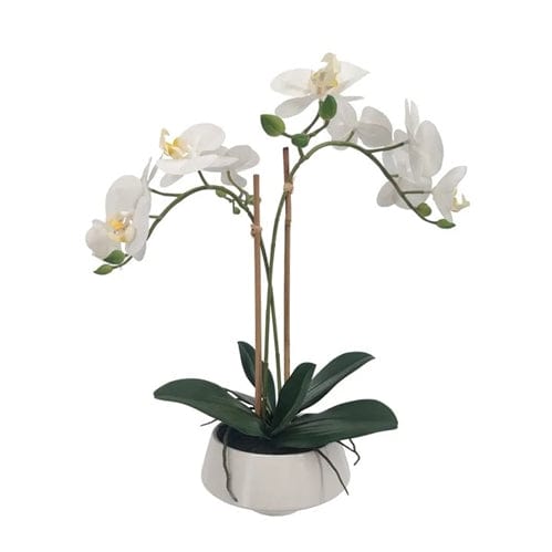 Gaudion Furniture 124 Artificial Flora White Orchid in White Pot Med