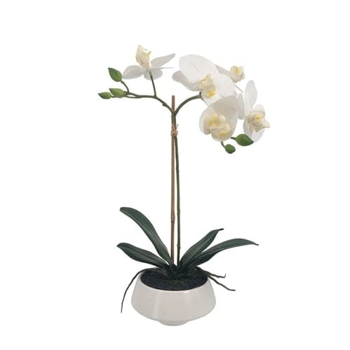 Gaudion Furniture 124 Artificial Flowers Orchid in White Pot Small