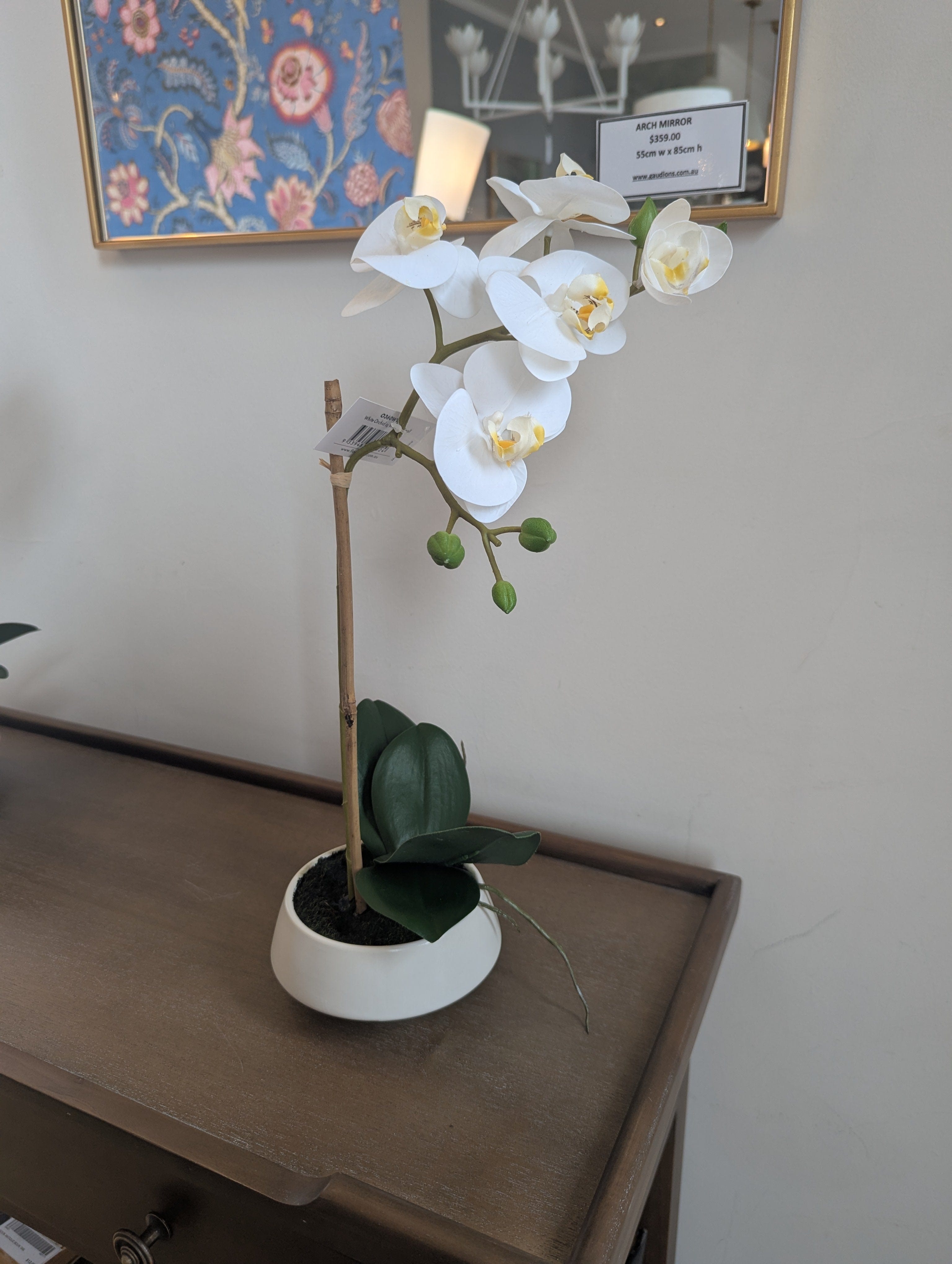 Gaudion Furniture 124 Artificial Flowers Orchid in White Pot Small