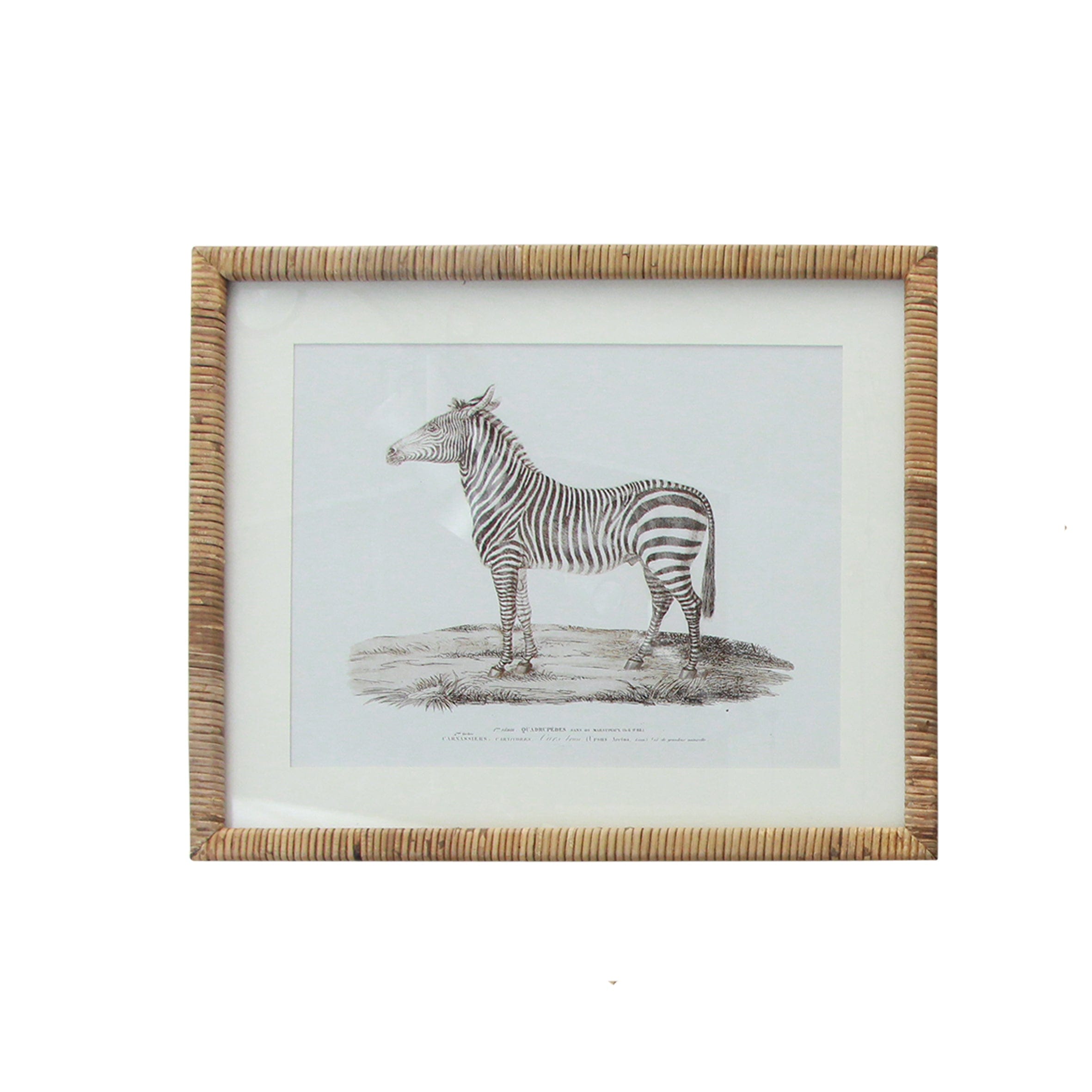 Gaudion Furniture Artwork Animal Wall Art (Set 2) Zebra Camel